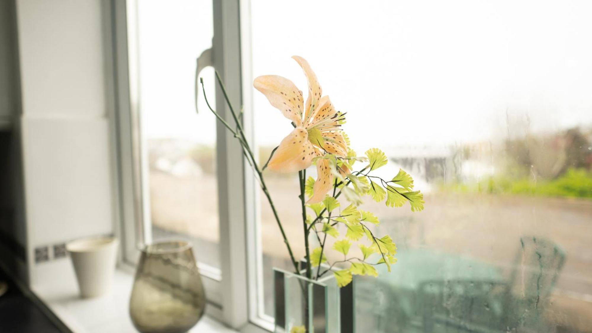 Apartment On High Street Saltdean Εξωτερικό φωτογραφία